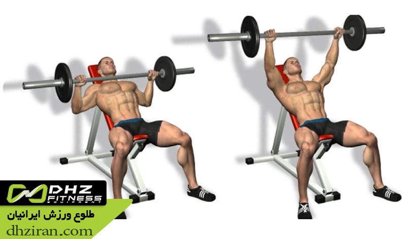 پرس سینه هالتر با شیب مثبت 